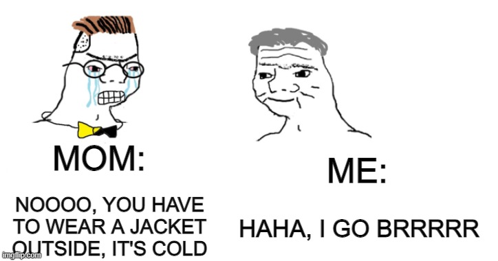 Brrrrr | ME:; MOM:; NOOOO, YOU HAVE TO WEAR A JACKET OUTSIDE, IT'S COLD; HAHA, I GO BRRRRR | image tagged in nooo haha go brrr | made w/ Imgflip meme maker