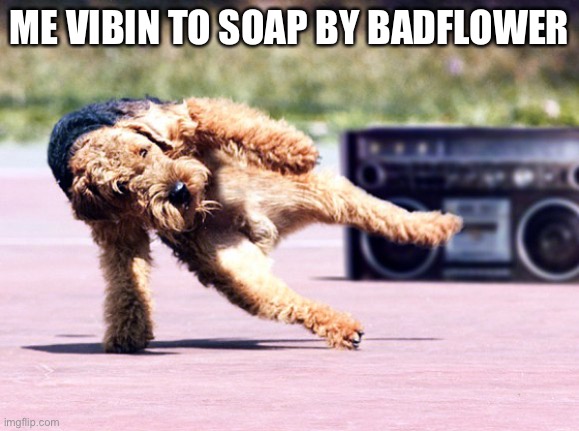 Break Dancing Dog | ME VIBIN TO SOAP BY BADFLOWER | image tagged in break dancing dog | made w/ Imgflip meme maker