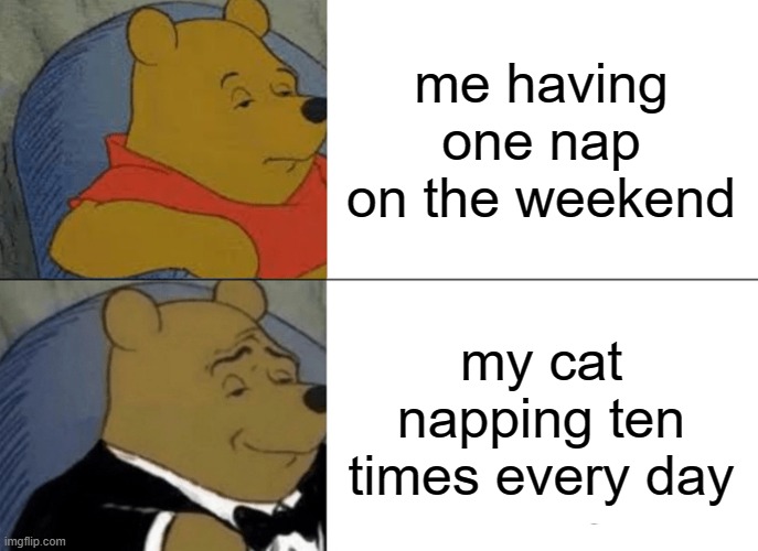 Tuxedo Winnie The Pooh | me having one nap on the weekend; my cat napping ten times every day | image tagged in memes,tuxedo winnie the pooh,cats | made w/ Imgflip meme maker