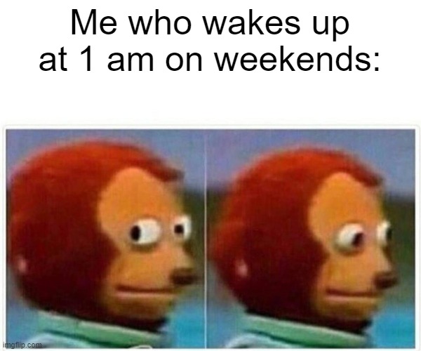 I CAN'T SLEEP |  Me who wakes up at 1 am on weekends: | image tagged in memes,monkey puppet | made w/ Imgflip meme maker