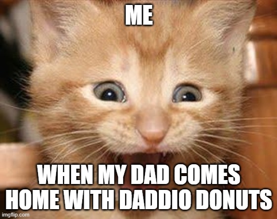 Excited Cat |  ME; WHEN MY DAD COMES HOME WITH DADDIO DONUTS | image tagged in memes,excited cat,donuts,cats | made w/ Imgflip meme maker