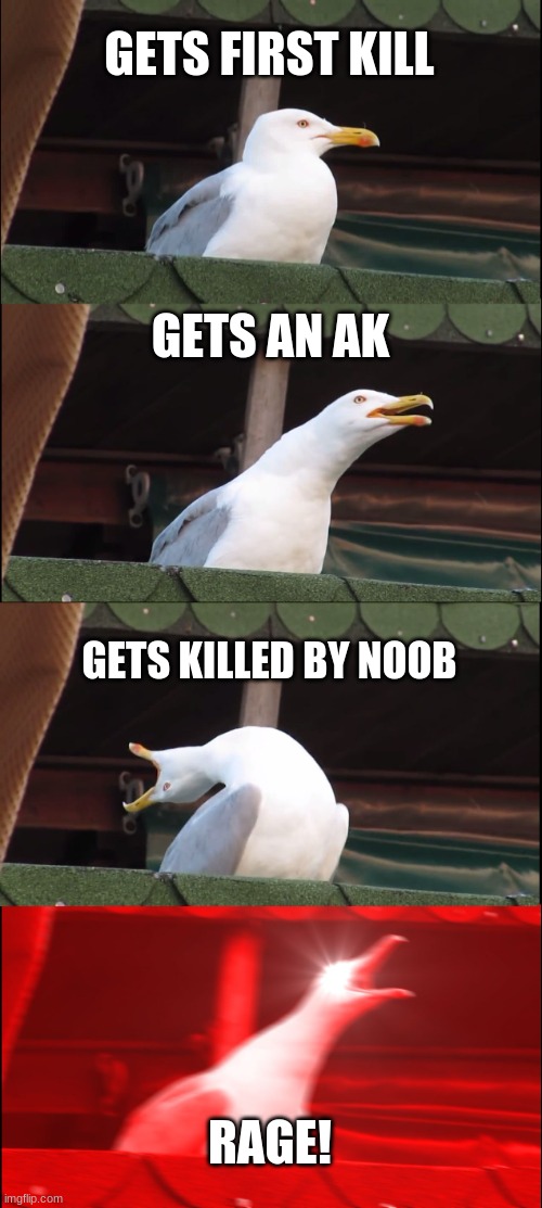 Fortnite Rage | GETS FIRST KILL; GETS AN AK; GETS KILLED BY NOOB; RAGE! | image tagged in memes,inhaling seagull | made w/ Imgflip meme maker