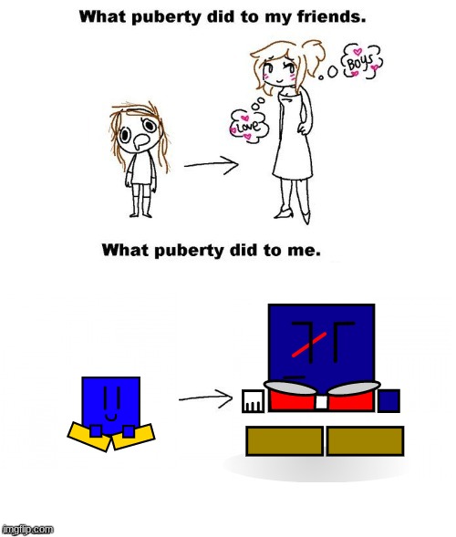 Cuber's life before and after the wall be like | image tagged in what puberty did to me,cuber,ocs,memes | made w/ Imgflip meme maker