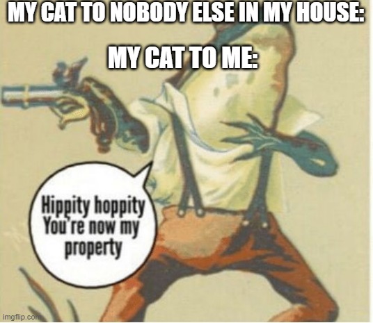 Heheh. can't relate...lol | MY CAT TO NOBODY ELSE IN MY HOUSE:; MY CAT TO ME: | image tagged in hippity hoppity you're now my property,relatable,cat,memes,meme,monday | made w/ Imgflip meme maker