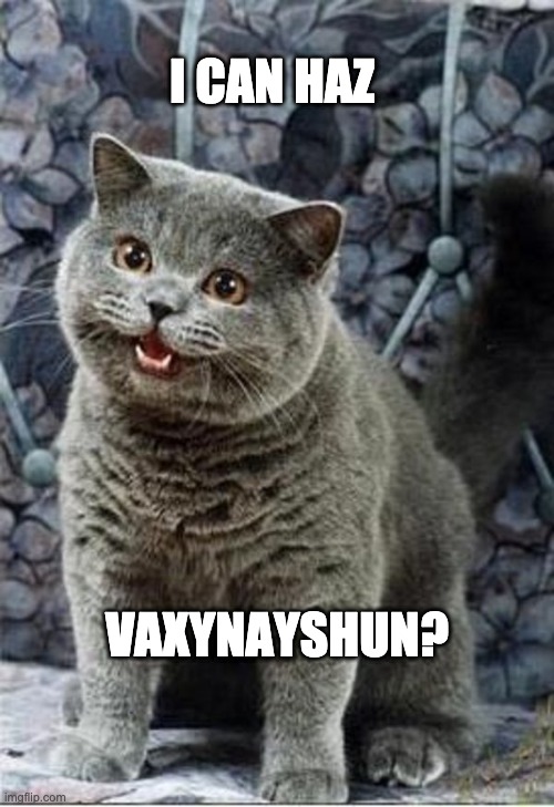 I Can Haz Vaxynayshun? | I CAN HAZ; VAXYNAYSHUN? | image tagged in vaccination | made w/ Imgflip meme maker