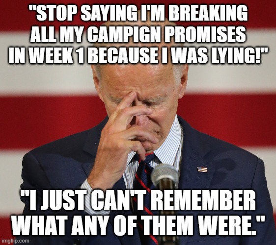 This is actually a plausible defense..... | "STOP SAYING I'M BREAKING ALL MY CAMPIGN PROMISES IN WEEK 1 BECAUSE I WAS LYING!"; "I JUST CAN'T REMEMBER WHAT ANY OF THEM WERE." | image tagged in senile joe,lies,broken promises,america last | made w/ Imgflip meme maker