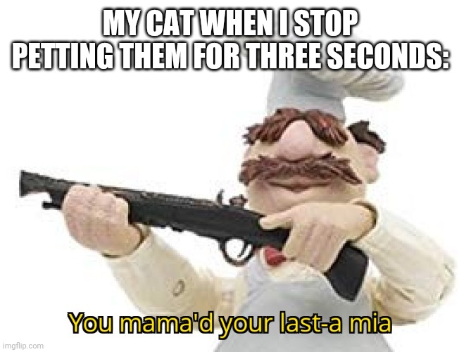 you just mamad your last mia | MY CAT WHEN I STOP PETTING THEM FOR THREE SECONDS: | image tagged in you just mamad your last mia | made w/ Imgflip meme maker