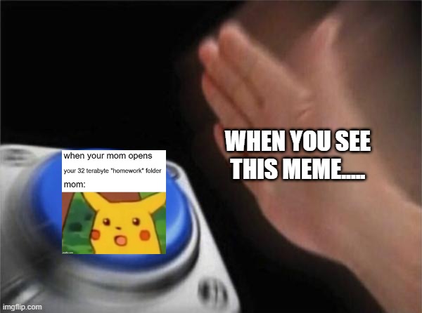 Check my memes page!!!!!!! | WHEN YOU SEE THIS MEME..... | image tagged in memes,blank nut button | made w/ Imgflip meme maker