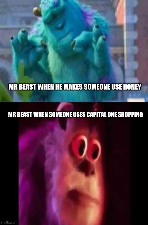 True | MR BEAST WHEN HE MAKES SOMEONE USE HONEY; MR BEAST WHEN SOMEONE USES CAPITAL ONE SHOPPING | image tagged in mr beast | made w/ Imgflip meme maker