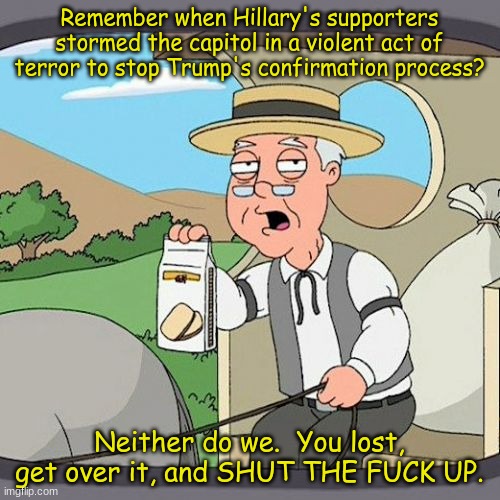 Pepperidge Farm Remembers Meme | Remember when Hillary's supporters stormed the capitol in a violent act of terror to stop Trump's confirmation process? Neither do we.  You  | image tagged in memes,pepperidge farm remembers | made w/ Imgflip meme maker