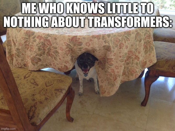 I only know a few, will list in comments | ME WHO KNOWS LITTLE TO NOTHING ABOUT TRANSFORMERS: | image tagged in hiding dog | made w/ Imgflip meme maker
