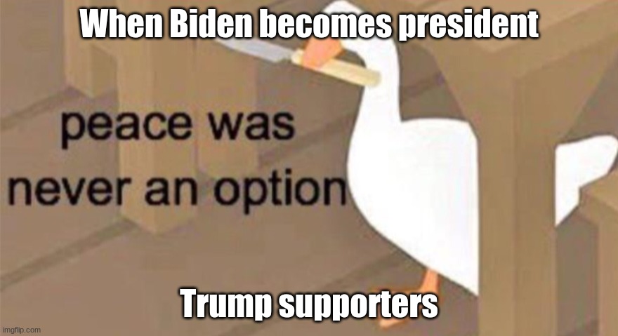 Breh why did this happen? | When Biden becomes president; Trump supporters | image tagged in untitled goose peace was never an option | made w/ Imgflip meme maker