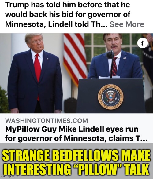 MyPillow Talk | STRANGE BEDFELLOWS MAKE INTERESTING “PILLOW” TALK | image tagged in mike lindell,trump,governor of minnesota | made w/ Imgflip meme maker