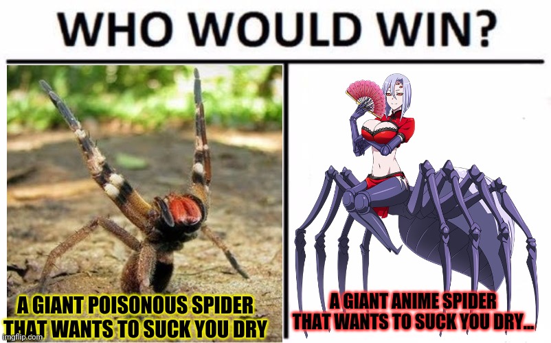 Spider vs spider! | A GIANT ANIME SPIDER THAT WANTS TO SUCK YOU DRY... A GIANT POISONOUS SPIDER THAT WANTS TO SUCK YOU DRY | image tagged in memes,who would win,lady,spider,anime girl | made w/ Imgflip meme maker