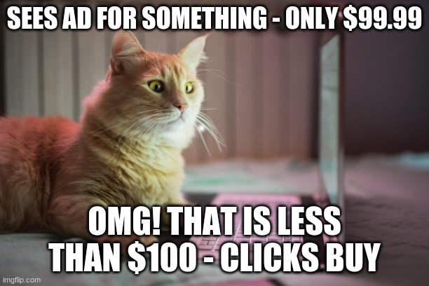 SEES AD FOR SOMETHING - ONLY $99.99; OMG! THAT IS LESS THAN $100 - CLICKS BUY | image tagged in cats | made w/ Imgflip meme maker