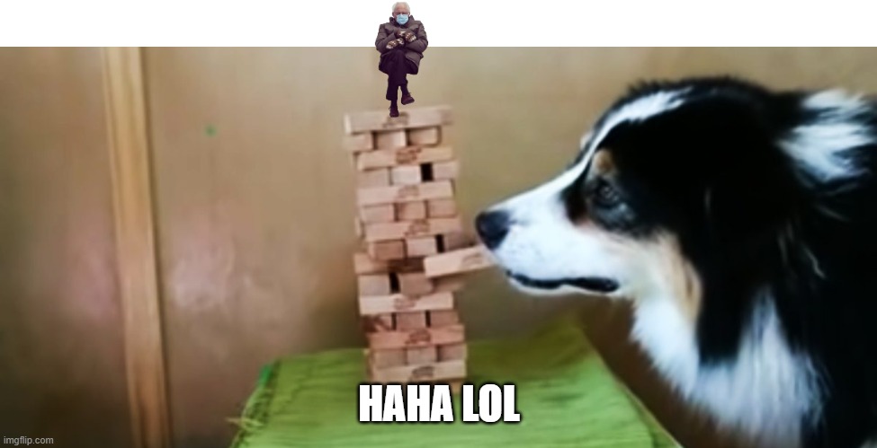 bernie sanders "plays" jenga with dog | HAHA LOL | image tagged in bernie sanders,fun,memes | made w/ Imgflip meme maker