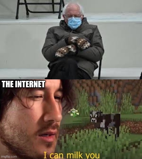 THE INTERNET | image tagged in i can milk you template,memes,funny,bernie sitting | made w/ Imgflip meme maker