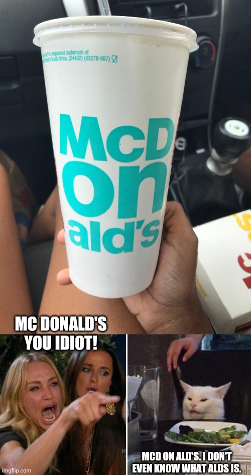  MC DONALD'S YOU IDIOT! MCD ON ALD'S. I DON'T EVEN KNOW WHAT ALDS IS. | image tagged in angry lady cat | made w/ Imgflip meme maker
