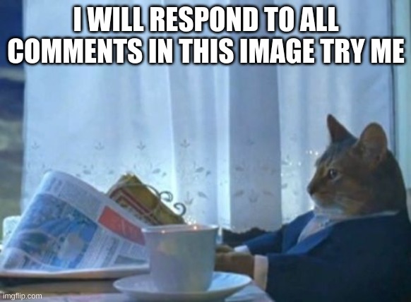 I Should Buy A Boat Cat | I WILL RESPOND TO ALL COMMENTS IN THIS IMAGE TRY ME | image tagged in memes,i should buy a boat cat | made w/ Imgflip meme maker