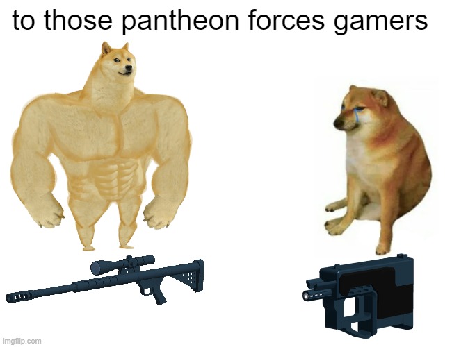 to those phantom forces gamers... | to those pantheon forces gamers | image tagged in memes,buff doge vs cheems | made w/ Imgflip meme maker