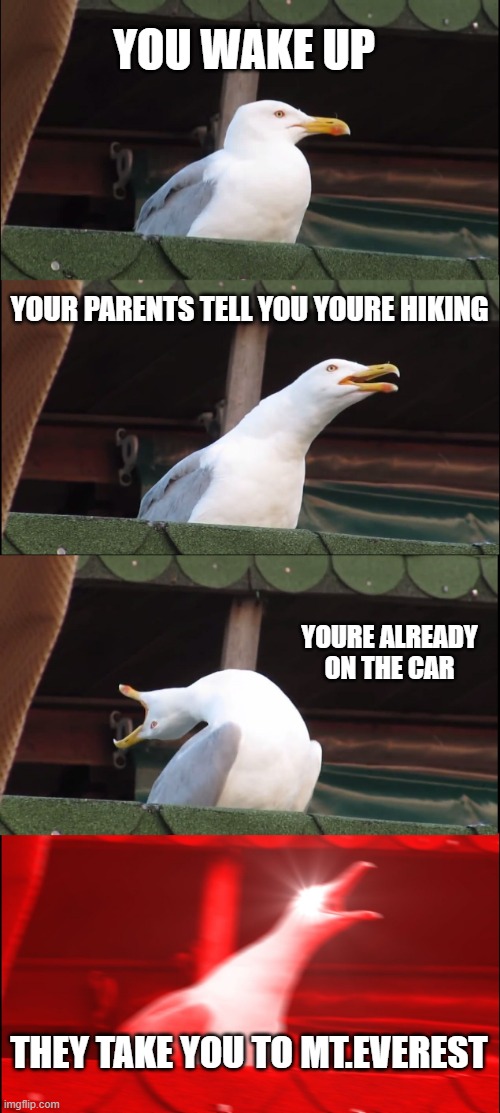 Inhaling Seagull Meme | YOU WAKE UP; YOUR PARENTS TELL YOU YOURE HIKING; YOURE ALREADY ON THE CAR; THEY TAKE YOU TO MT.EVEREST | image tagged in memes,inhaling seagull | made w/ Imgflip meme maker
