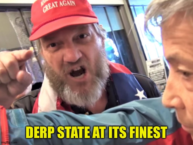 Angry Trump Supporter | DERP STATE AT ITS FINEST | image tagged in angry trump supporter | made w/ Imgflip meme maker