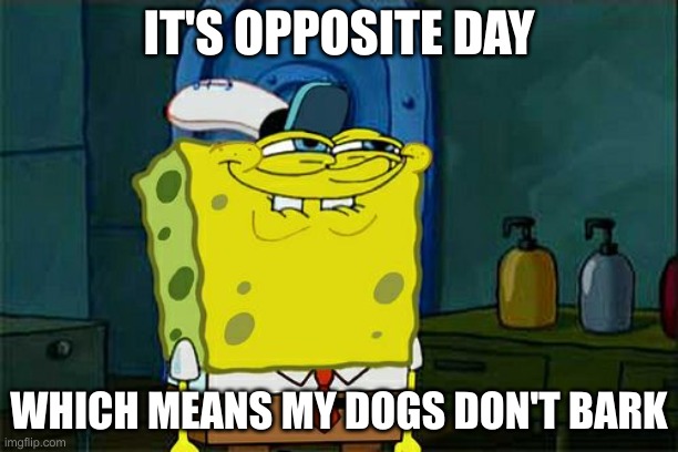 Don't You Squidward Meme | IT'S OPPOSITE DAY; WHICH MEANS MY DOGS DON'T BARK | image tagged in memes,don't you squidward | made w/ Imgflip meme maker