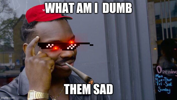 trigered | WHAT AM I  DUMB; THEM SAD | image tagged in memes,roll safe think about it | made w/ Imgflip meme maker