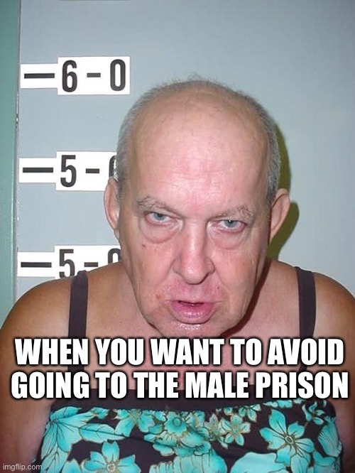 Mugshot | WHEN YOU WANT TO AVOID GOING TO THE MALE PRISON | image tagged in mugshots funny man | made w/ Imgflip meme maker