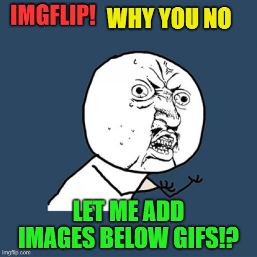 Let us add images above/below gifs! | WHY YOU NO; IMGFLIP! LET ME ADD IMAGES BELOW GIFS!? | image tagged in memes,y u no,imgflip | made w/ Imgflip meme maker