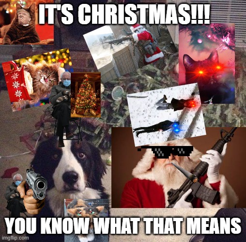 is this to much | IT'S CHRISTMAS!!! YOU KNOW WHAT THAT MEANS | image tagged in dog christmas tree | made w/ Imgflip meme maker