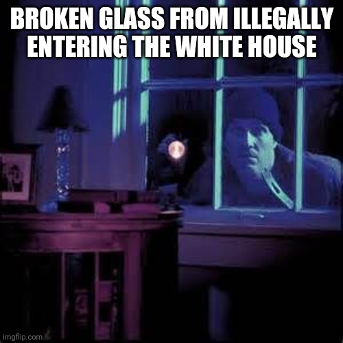 Burglar  | BROKEN GLASS FROM ILLEGALLY ENTERING THE WHITE HOUSE | image tagged in burglar | made w/ Imgflip meme maker