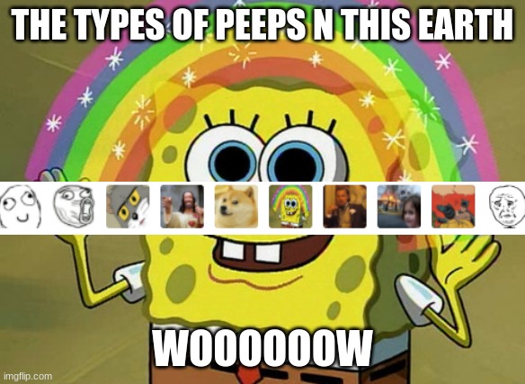 Imagination Spongebob Meme | THE TYPES OF PEEPS N THIS EARTH; WOOOOOOW | image tagged in memes,imagination spongebob | made w/ Imgflip meme maker