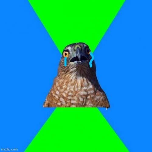 Hawkward Meme | image tagged in memes,hawkward | made w/ Imgflip meme maker