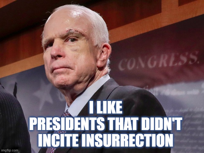 John McCain  | I LIKE
PRESIDENTS THAT DIDN'T
INCITE INSURRECTION | image tagged in john mccain | made w/ Imgflip meme maker