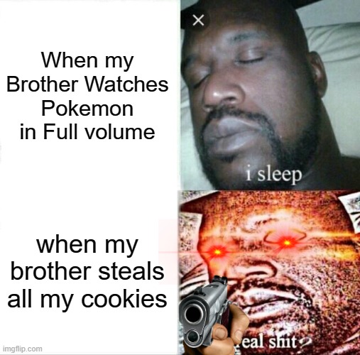 Why Brother? | When my Brother Watches Pokemon in Full volume; when my brother steals all my cookies | image tagged in memes,sleeping shaq | made w/ Imgflip meme maker