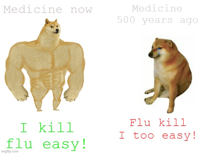 Just a meme I made 'cause I was bored and reading about the bubonic plague | Medicine now; Medicine 500 years ago; I kill flu easy! Flu kill I too easy! | image tagged in buff doge vs cheems,flu | made w/ Imgflip meme maker