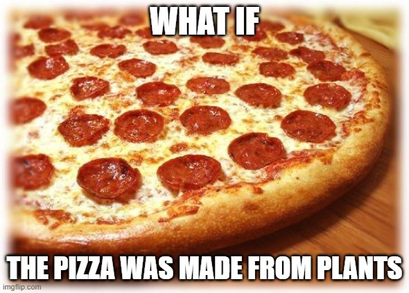 Coming out pizza  | WHAT IF; THE PIZZA WAS MADE FROM PLANTS | image tagged in coming out pizza | made w/ Imgflip meme maker
