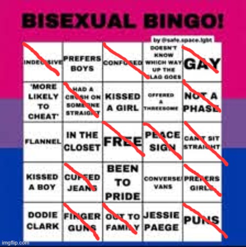 bisexual bingo card | image tagged in bisexual bingo card | made w/ Imgflip meme maker