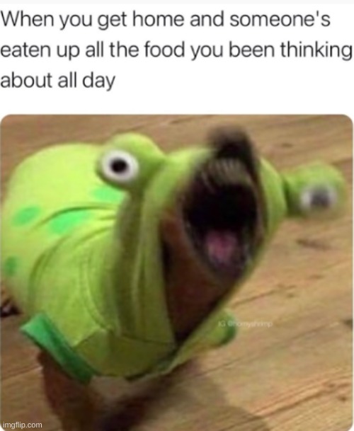NO MY FOOD | image tagged in screaming dog | made w/ Imgflip meme maker