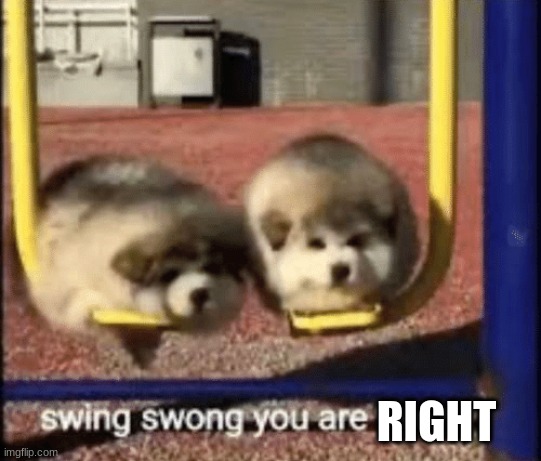 swing swong you are wrong | RIGHT | image tagged in swing swong you are wrong | made w/ Imgflip meme maker