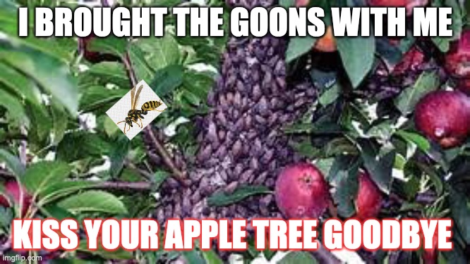 What happens when you don't kill a lantern fly pt3 | I BROUGHT THE GOONS WITH ME; KISS YOUR APPLE TREE GOODBYE | image tagged in lantern fly swarm | made w/ Imgflip meme maker