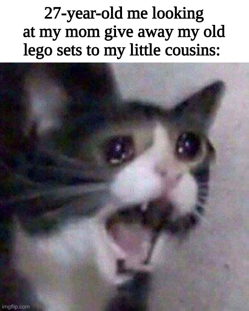 Cat Screaming | 27-year-old me looking at my mom give away my old lego sets to my little cousins: | image tagged in cat screaming | made w/ Imgflip meme maker
