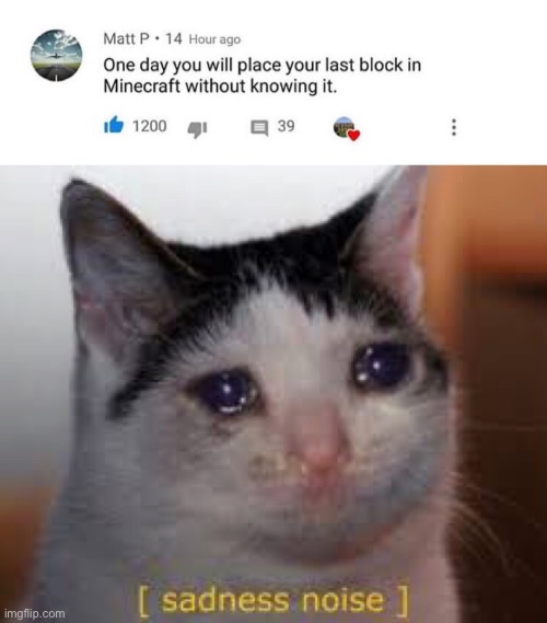 Sad cat | image tagged in sad cat | made w/ Imgflip meme maker