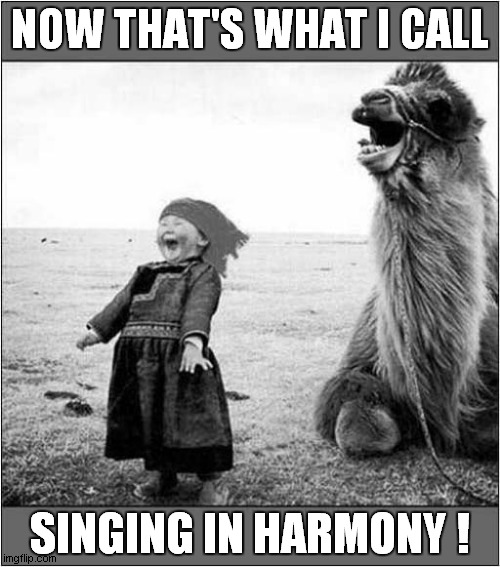 A Joyful Noise From Mongolia ! | NOW THAT'S WHAT I CALL; SINGING IN HARMONY ! | image tagged in fun,singing,harmony,child,camel | made w/ Imgflip meme maker
