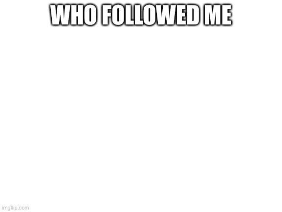 who followed me | WHO FOLLOWED ME | image tagged in blank white template | made w/ Imgflip meme maker
