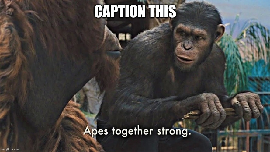 No title needed | CAPTION THIS | image tagged in ape together strong | made w/ Imgflip meme maker