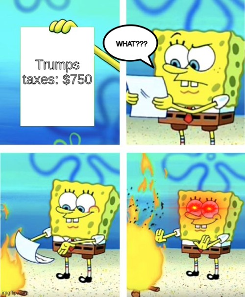 Ya kno?? | WHAT??? Trumps taxes: $750 | image tagged in spongebob burning paper | made w/ Imgflip meme maker