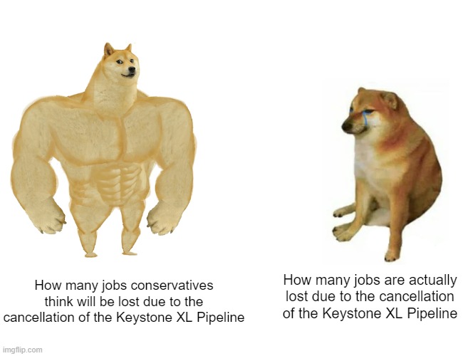 Oh no! 35 permanent jobs lost? The sky is falling! | How many jobs are actually lost due to the cancellation of the Keystone XL Pipeline; How many jobs conservatives think will be lost due to the cancellation of the Keystone XL Pipeline | image tagged in buff doge vs cheems,keystone pipeline,union,jobs,fearmongering,biden | made w/ Imgflip meme maker