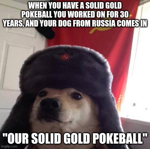 Russian Doge | WHEN YOU HAVE A SOLID GOLD POKEBALL YOU WORKED ON FOR 30 YEARS, AND YOUR DOG FROM RUSSIA COMES IN; "OUR SOLID GOLD POKEBALL" | image tagged in russian doge | made w/ Imgflip meme maker